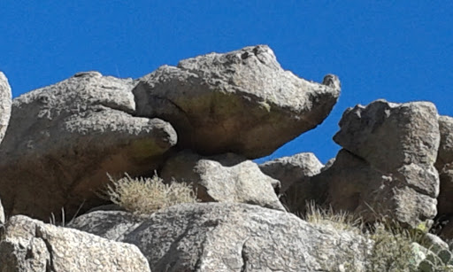 Turtlehead Rock