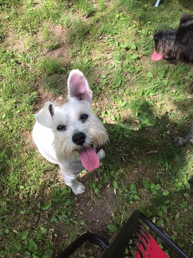 Baseball Field «Oriole Park at Camden Yards», reviews and photos, 333 W Camden St, Baltimore, MD 21201, USA