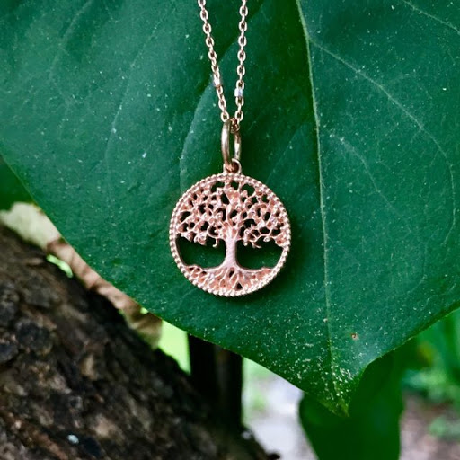 Jewelry Store «Hudson Valley Goldsmith», reviews and photos, 71 Main St, New Paltz, NY 12561, USA