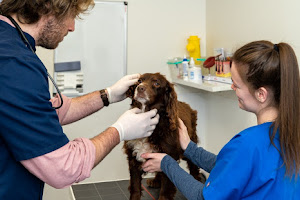 Fox Veterinary Clinic