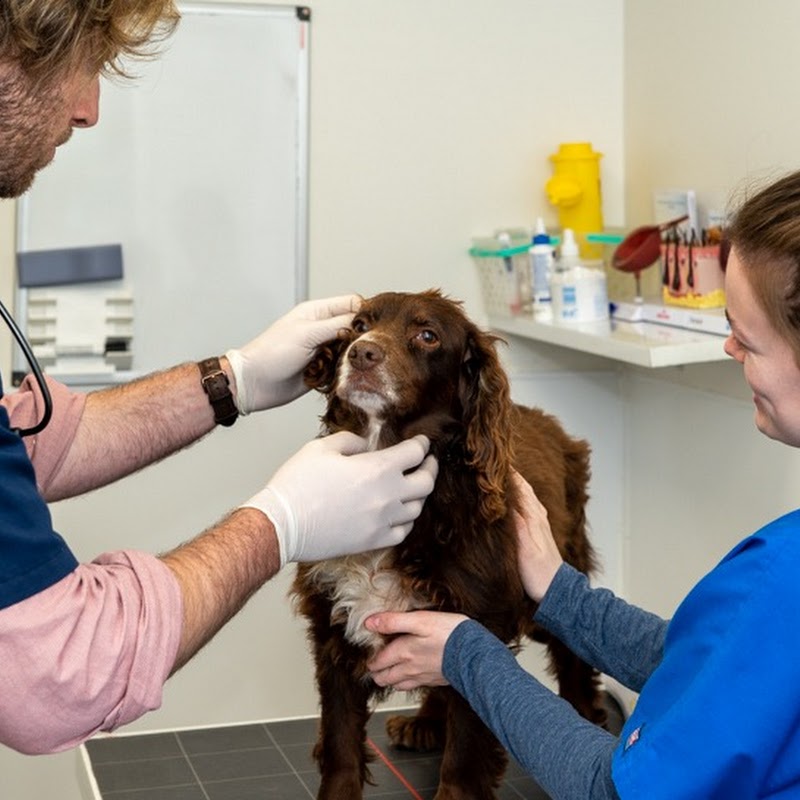 Fox Veterinary Clinic
