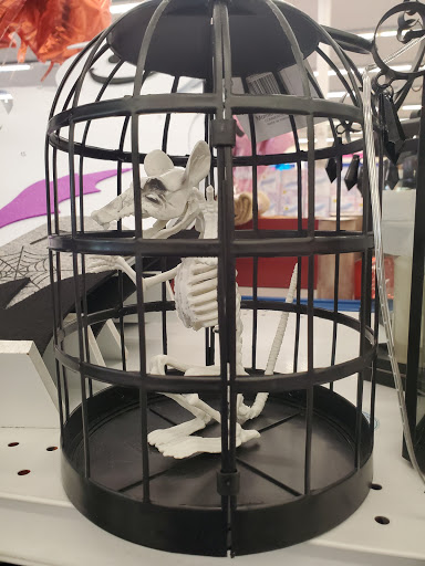 Discount Store «99 Cents Only Stores», reviews and photos, 7919 E Thomas Rd, Scottsdale, AZ 85251, USA