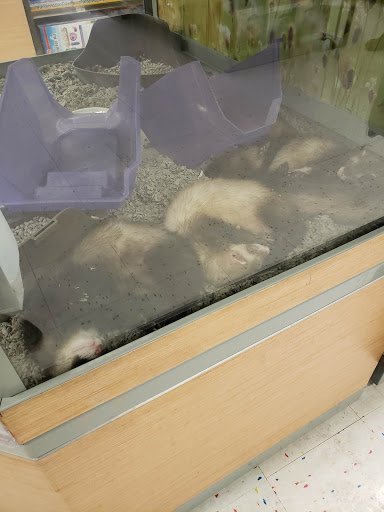 Pet Supply Store «Petco Animal Supplies», reviews and photos, 27111 167th Pl SE #113, Covington, WA 98042, USA