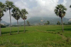 Nilagiri Hill image
