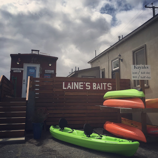 Laine's Baits and Rentals