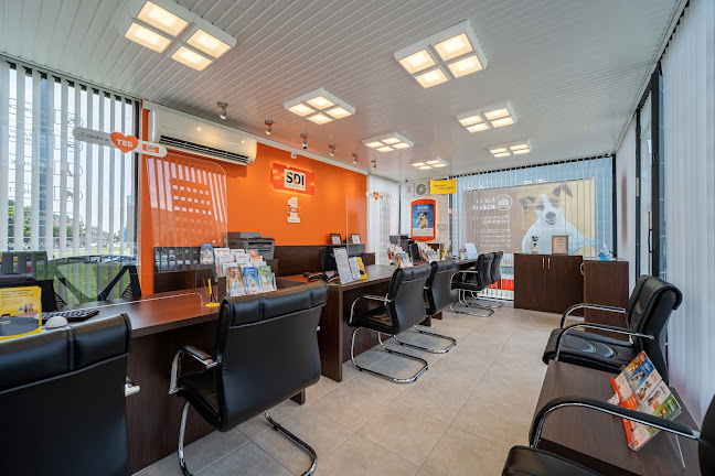 Opinii despre SDI брокер - Застраховки în Дупница - Застрахователна агенция