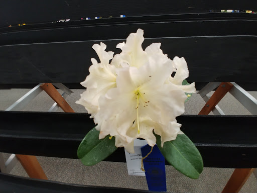 Event Venue «Florence Events Center», reviews and photos, 715 Quince St, Florence, OR 97439, USA