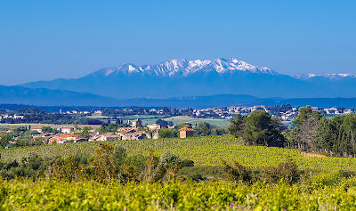 Domaine Magellan à Magalas