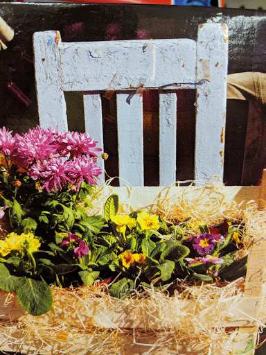 Dollar Store «Dollar Tree», reviews and photos, 5880 N Sheldon Road, Canton, MI 48187, USA