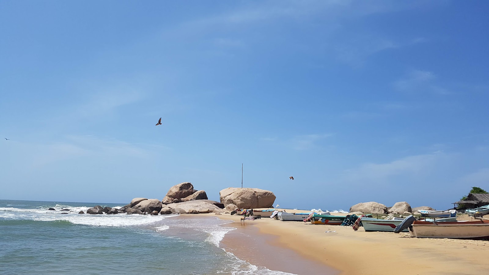 Foto di Yala Beach con una superficie del sabbia luminosa