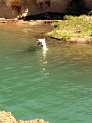 Zoo «Memphis Zoo», reviews and photos, 2000 Prentiss Pl, Memphis, TN 38112, USA