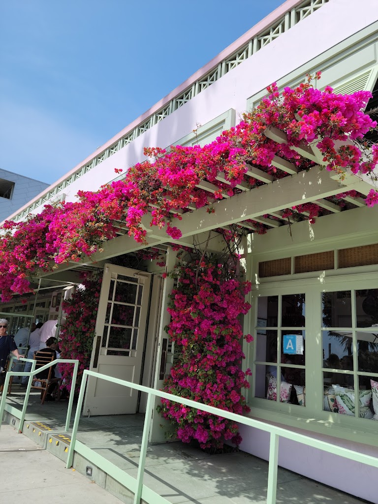 Ivy at the Shore 90401