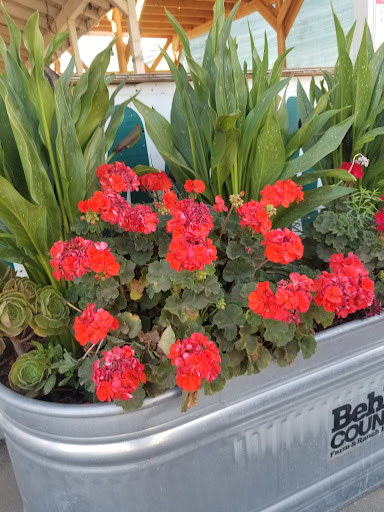 Produce Market «Dixon Fruit Market», reviews and photos, 7808 Batavia Rd, Dixon, CA 95620, USA