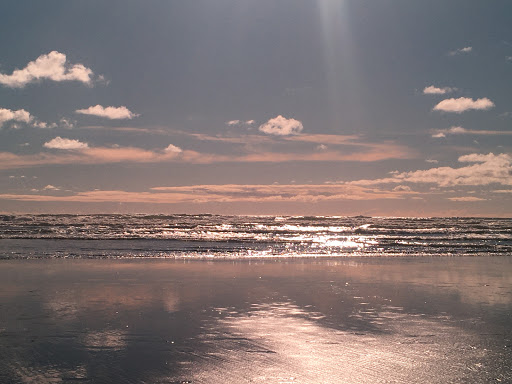 Grocery Store «Safeway», reviews and photos, 401 S. Roosevelt, Seaside, OR 97138, USA