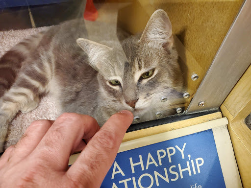 Pet Supply Store «PetSmart», reviews and photos, 26532 Towne Centre Dr, Foothill Ranch, CA 92610, USA