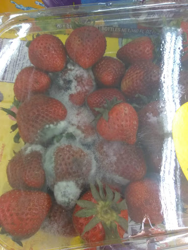 Grocery Store «Food Depot», reviews and photos, 3590 Panola Rd, Lithonia, GA 30038, USA