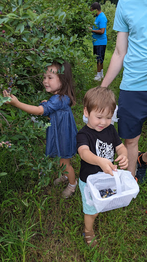 Produce Market «Mt Olympus Berry Farm», reviews and photos, 23298 Jefferson Davis Hwy, Ruther Glen, VA 22546, USA