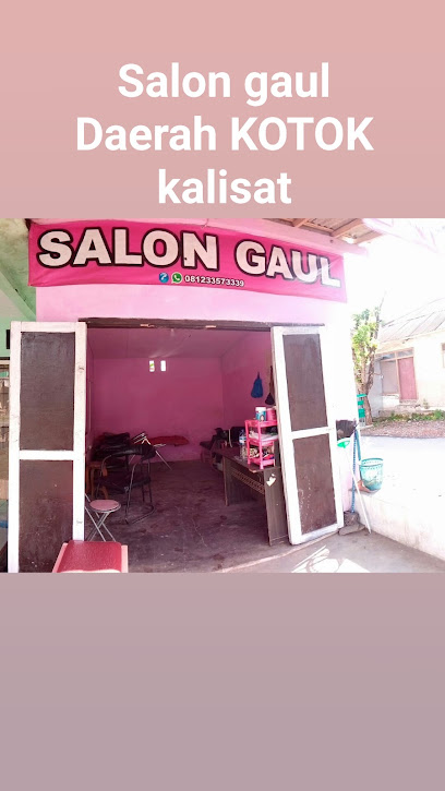 Salon Gaul 1