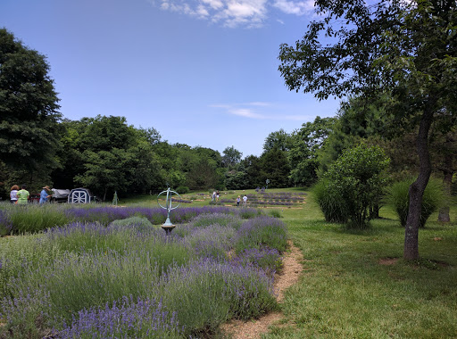 Farm «Blooming Hill Lavender Farm», reviews and photos, 19929 Telegraph Springs Rd, Purcellville, VA 20132, USA