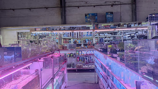 Top 2 cửa hàng cá kiểng Huyện A Lưới Thừa Thiên Huế 2022