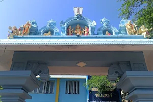 Tirumala Tirupati Balaji Temple, Vellore image