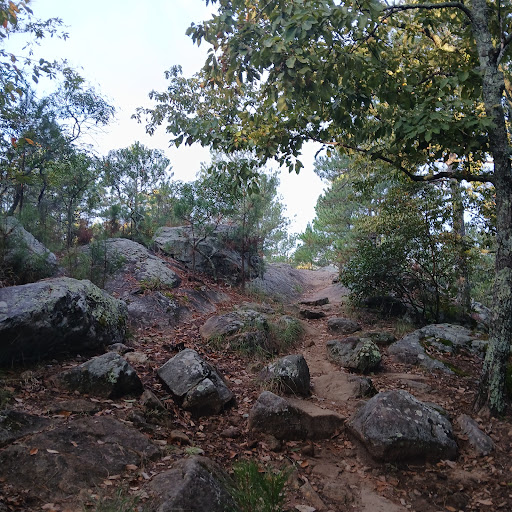 Pigeon Hill Trailhead