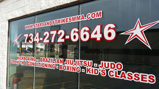 Martial Arts School «Stars and Strikes MMA», reviews and photos, 6388 Executive Dr E, Westland, MI 48185, USA