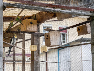 Photo n°9 de Logis Hôtel la Cremaillère à Hagetmau ()
