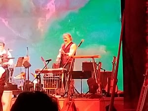 The Rhythm Cats - photo 8