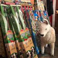 Bledsoe Feed & Boutique - Car repair in South Sioux City, NE, Sioux City - Rated 4.9/5