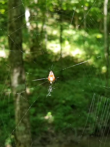 State Park «Taylorsville Lake State Park», reviews and photos, 1320 Park Rd, Mt Eden, KY 40046, USA