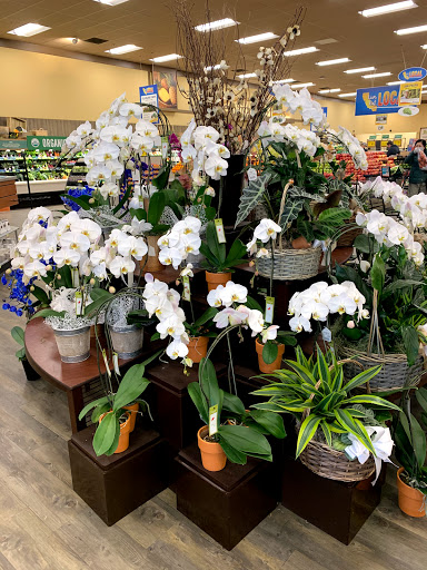 Grocery Store «Safeway», reviews and photos, 20620 W Homestead Rd, Cupertino, CA 95014, USA