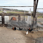 Photo n°21 de l'avis de Nicoletta.a fait le 06/02/2024 à 14:48 sur le  Farmhouse Cascina Smeralda à Pontestura