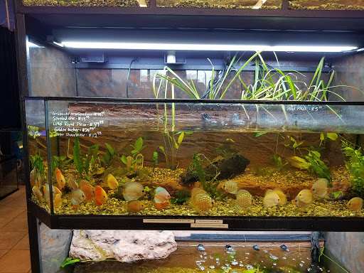 Pet Store «Movie Vault & PETropoliS live», reviews and photos, 1296 Anderson City Rd, Lawrenceburg, KY 40342, USA