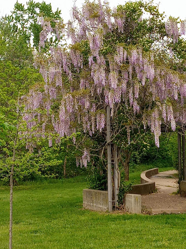 Park «Arthur K Draut Park», reviews and photos, Bowling Blvd, St Matthews, KY 40207, USA