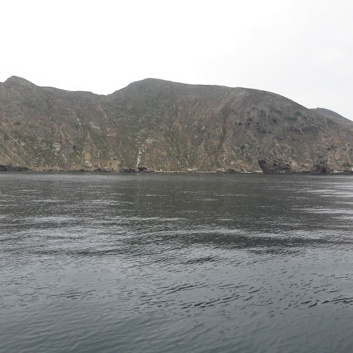 Island Packers Cruises - Oxnard image