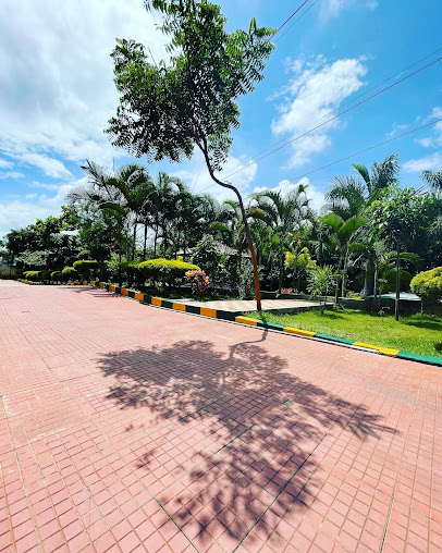 Google Maps image 18