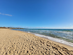 Photo de Frankston Beach et le règlement