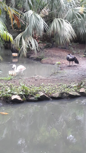 Zoo el Pantanal
