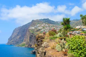 Madeira Islands image
