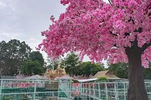 Mekong Skywalk image