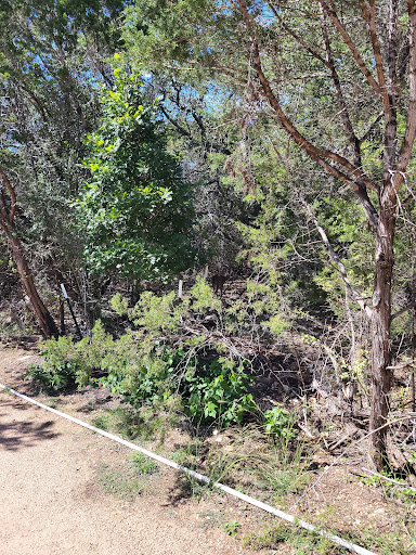Barton Creek Trail – Violet Crown Trailhead