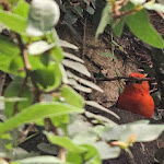 Photo n° 1 de l'avis de Fred.T fait le 25/09/2023 à 02:54 pour ZooParc de Beauval Entrée Nord à Saint-Aignan
