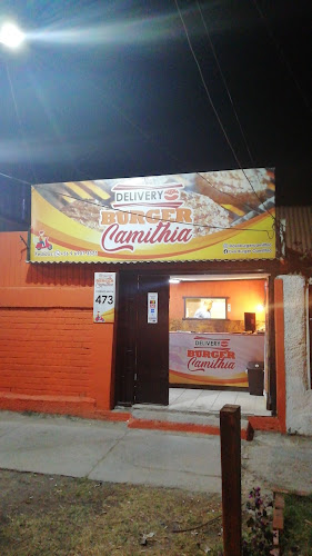 Delivery Burger Camithia - Copiapó