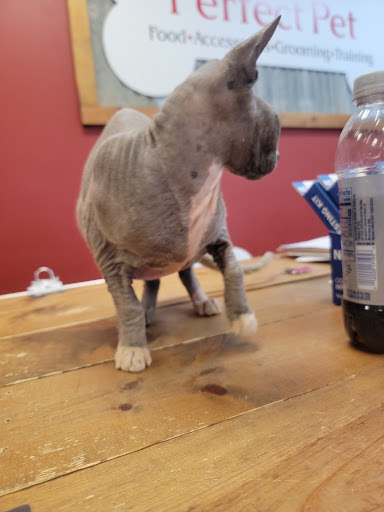 Pet Groomer «Perfect Pet Food & Accessories», reviews and photos, 618 N Main St, Bluffton, IN 46714, USA