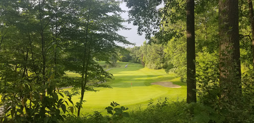 Golf Course «Springfield Oaks Golf Course», reviews and photos, 12450 Andersonville Rd, Davisburg, MI 48350, USA