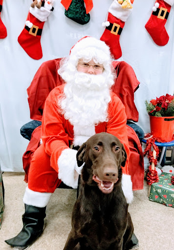 Pet Supply Store «PetSmart», reviews and photos, 9887 76th St, Pleasant Prairie, WI 53158, USA