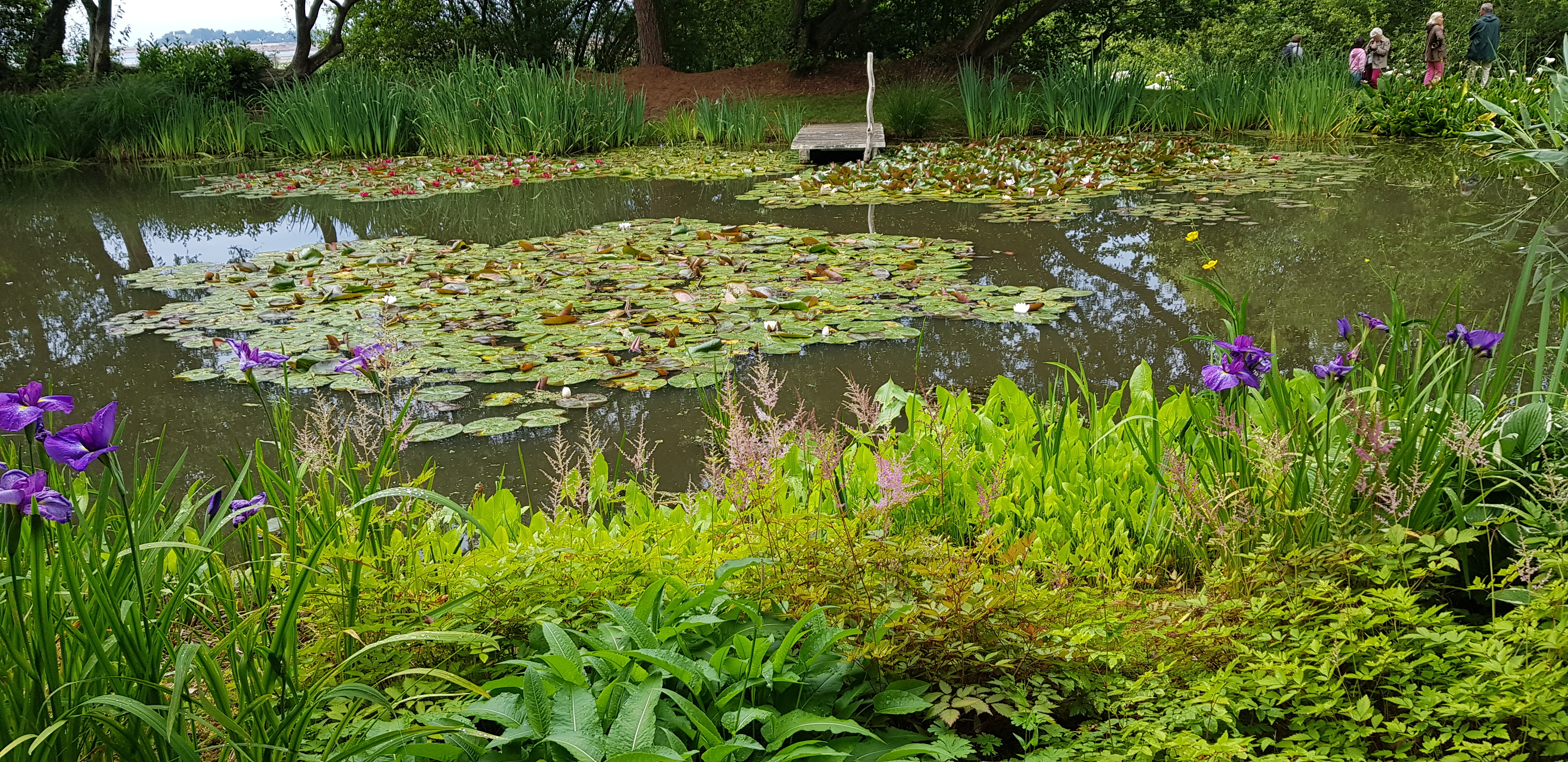 Photo n° 12 de l'avis de Ponsart.a fait le 23/06/2019 à 15:17
