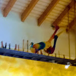 Photo n°4 de l'avis de Gabi.u fait le 16/06/2019 à 11:52 sur le  AXXE Restaurant Osterfeld Ost à Stößen