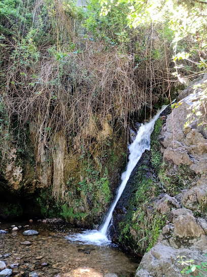 Cascada De Los Helechos